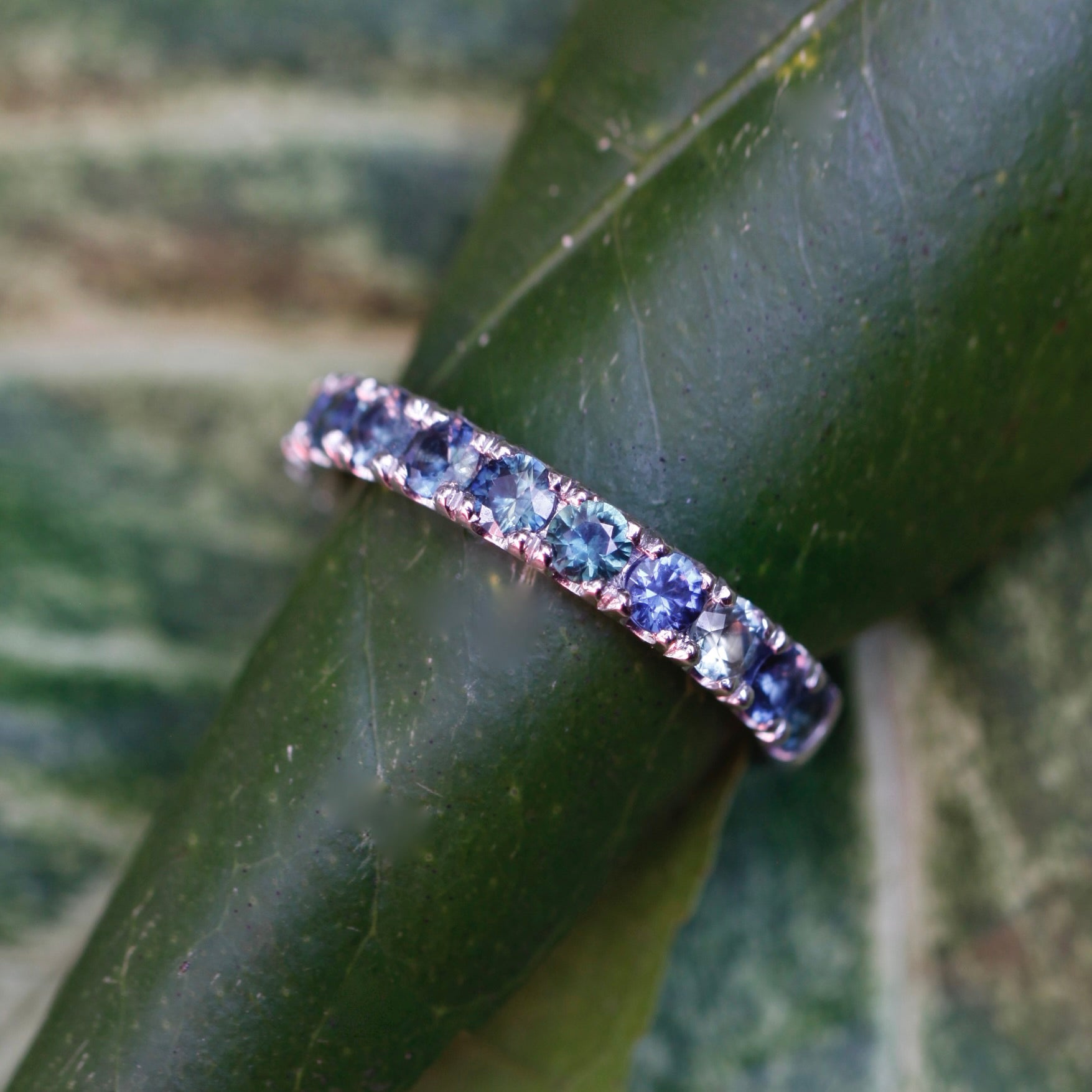 Arnhem Oceans Ring