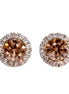 Champagne Zircon Stud Earrings
