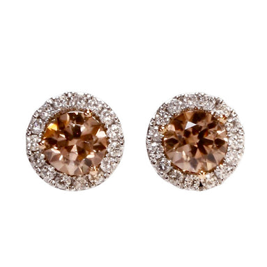 Champagne Zircon Stud Earrings